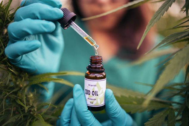 The Role of CBD in Reducing Inflammation and Supporting Joint Health