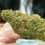 Personalized Delta 8 Dosage Considerations for More Controlled Beginner Experiences